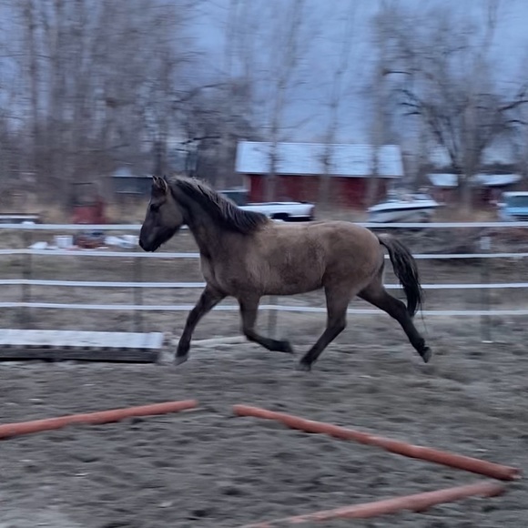 Meet your Posher, Brittany - Picture 15 of 16